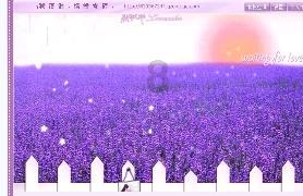 召唤神龙万宁版祖龙