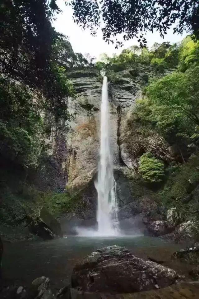 徐学清是如何履行职责？