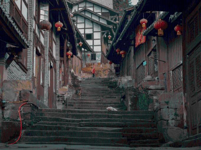 蜂蛹是靠吃什么长大的?-最佳机智问答平台